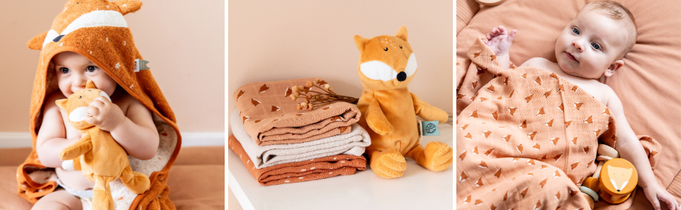 collection mr fox