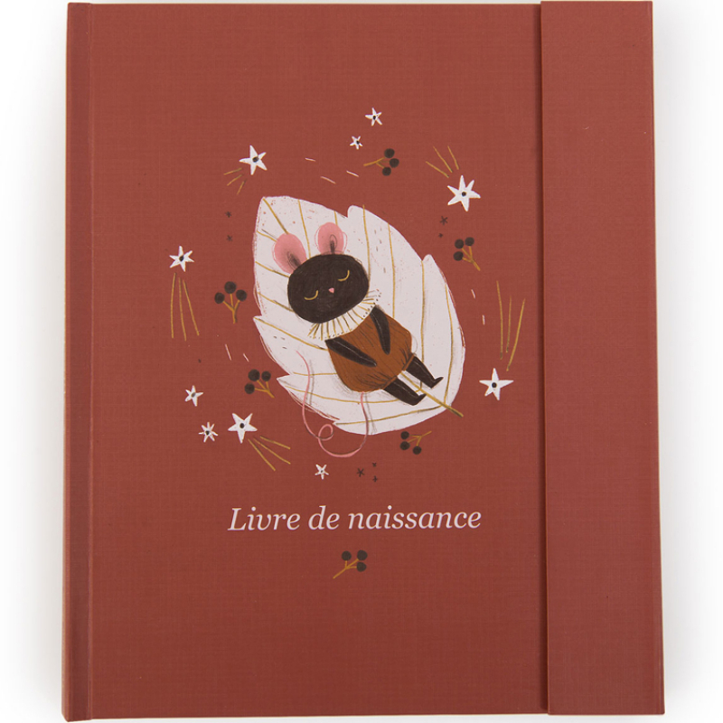 Livre de naissance Après la pluie (Moulin Roty) - Image 1