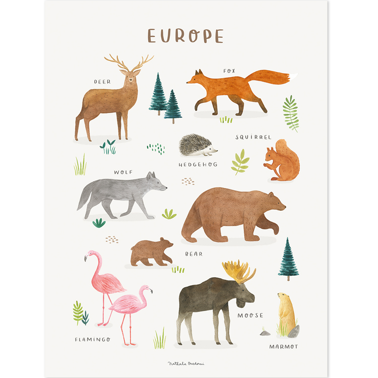 Affiche Animaux d'Europe (30 x 40 cm) (Lilipinso) - Image 1