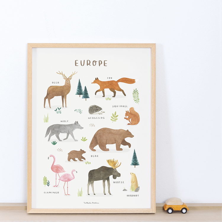 Affiche Animaux d'Europe (30 x 40 cm) (Lilipinso) - Image 2