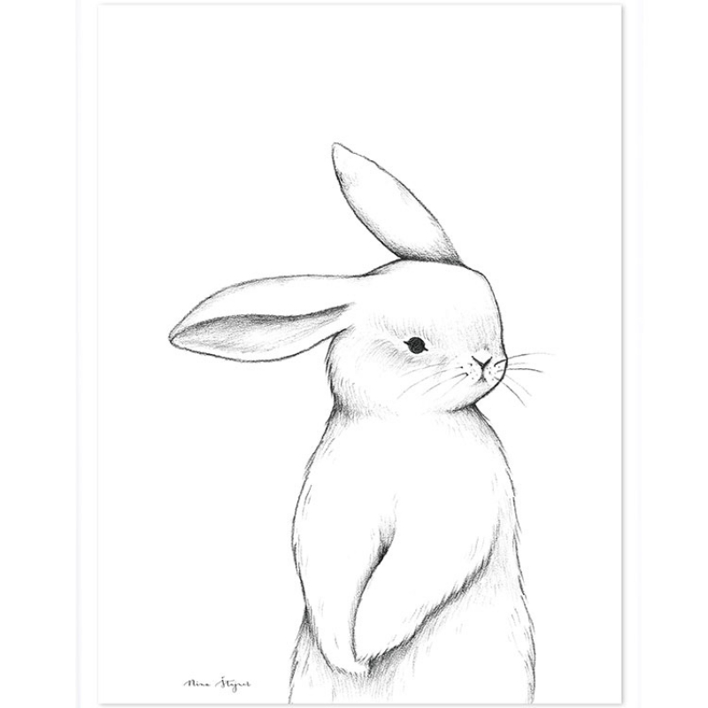 Affiche lapin de face (30 x 40 cm) (Lilipinso) - Image 1