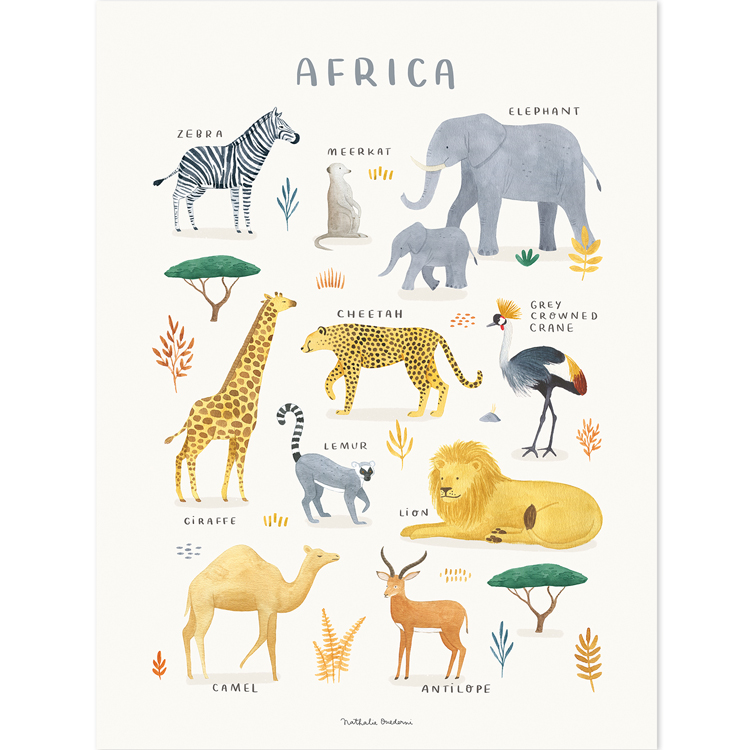 Affiche Animaux d'Afrique (30 x 40 cm) (Lilipinso) - Image 1